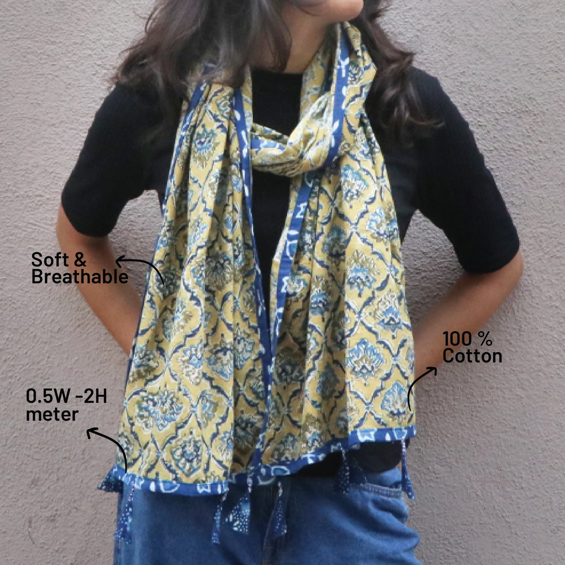 Kalamkari Printed Stole with Indigo Blue Border